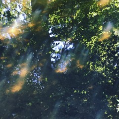 Harry Linden Johnson