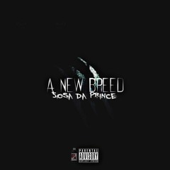 Sosa Da Prince