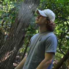 Austin DeRienzo