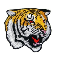 Kanashī(Zzz)Tora