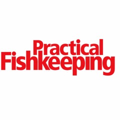 PracticalFishkeepingMag