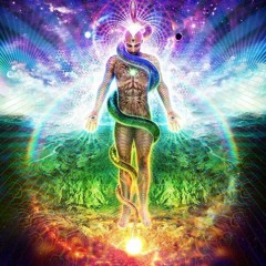 VisualRenegaid