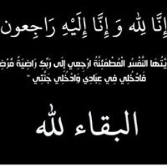 Mahmoud Ahmed Abdelmawla