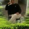 mahmoued