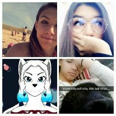 Stream Bella The Wolf music | Listen to songs, albums, playlists 