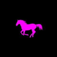 Pony