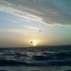 Nieuw en populair: Klassiek