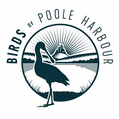 Birds of Poole Harbour
