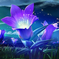 Sandeep Gunturu