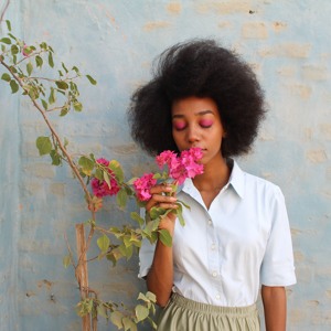 Solange - Cranes in the sky cover