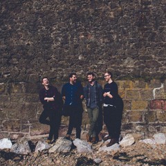 Harry And The Gondolas