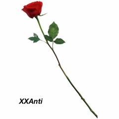XXAnti