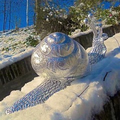 The Silver Snails