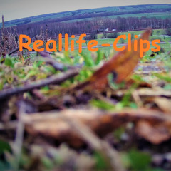 Reallife-Clips