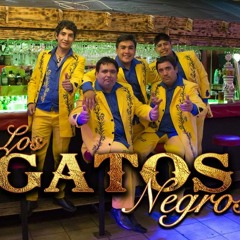 Los Gatos Negros