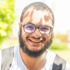 Mohamed Ibrahim Elsheewy