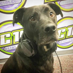 AshleyOnAir