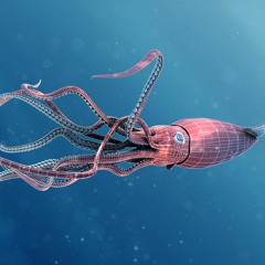 CLOUD SCAPE MOON SQUID PODCAST SERIES