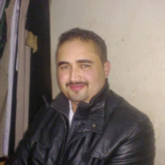 محمود العربى الحادى