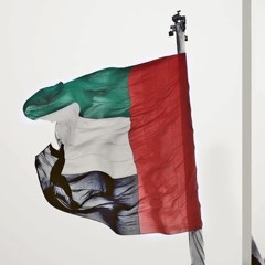 Ahmed Alshamsi