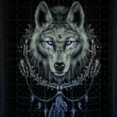 wolfi X