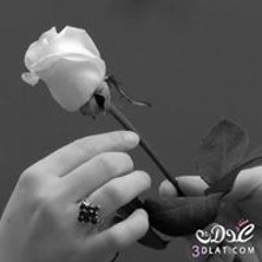 Youssef Ramadan