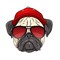 Mr. dog