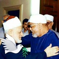 عاطف السعيد القربه