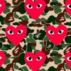 T$afari