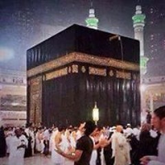 محمود الضوي الضوي