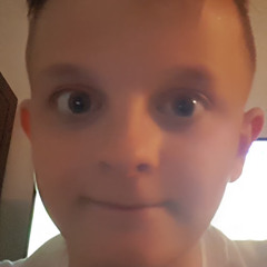 nikola gamer
