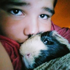 Brandon