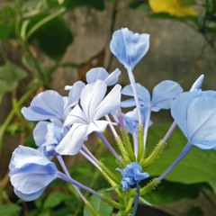 Rahul Narayanan Unni S