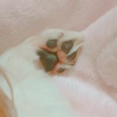 .ㅌ