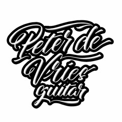 Peter de Vries Guitar