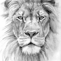 Yedediyah Israel
