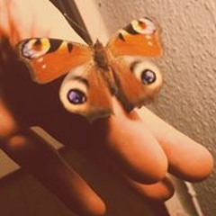 Philip Friso Hoeksma