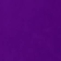 Purpleboy4476