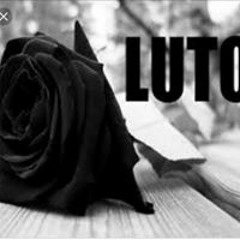 Salete Scariotto
