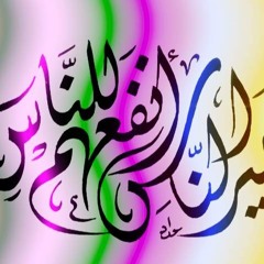 محمود أنيس