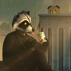raccoon racer