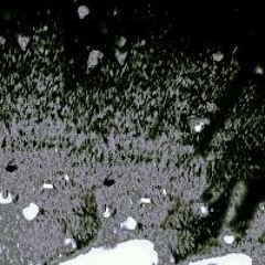 Lights Out Holy Roller