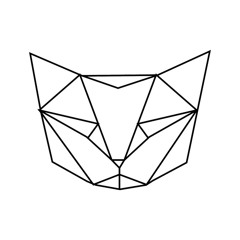 thomasijmkerkattengedrag