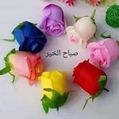fayzasamh190@gmail.com