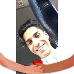 Parham Sharifi Moghaddam