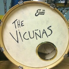 The Vicuñas