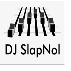 DJ SlapNol