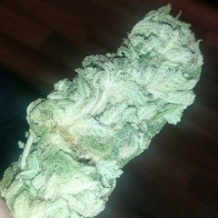plugga