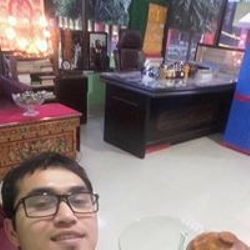 Usha Ranjan Chakz’s avatar