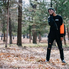 Joey Sativa